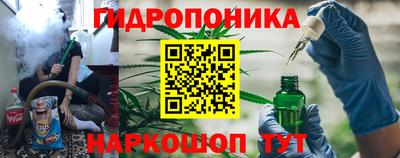 Альфа ПВП Пенза