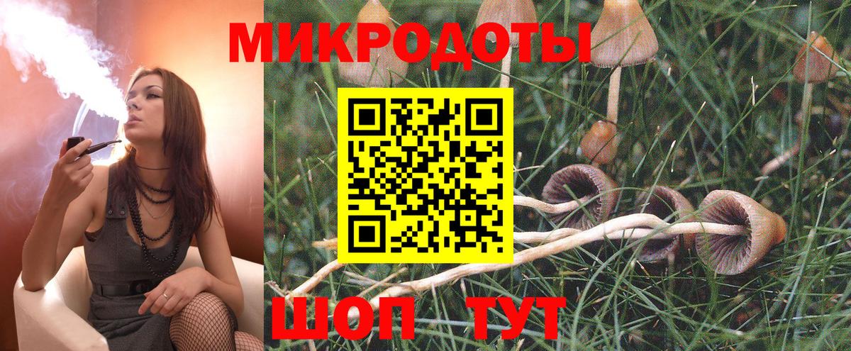 цены наркотик  Вход с VPN  Светлоград  Галлюциногенные грибы Psilocybine cubensis  Псилоцибиновые грибы Psilocybine cubensis 