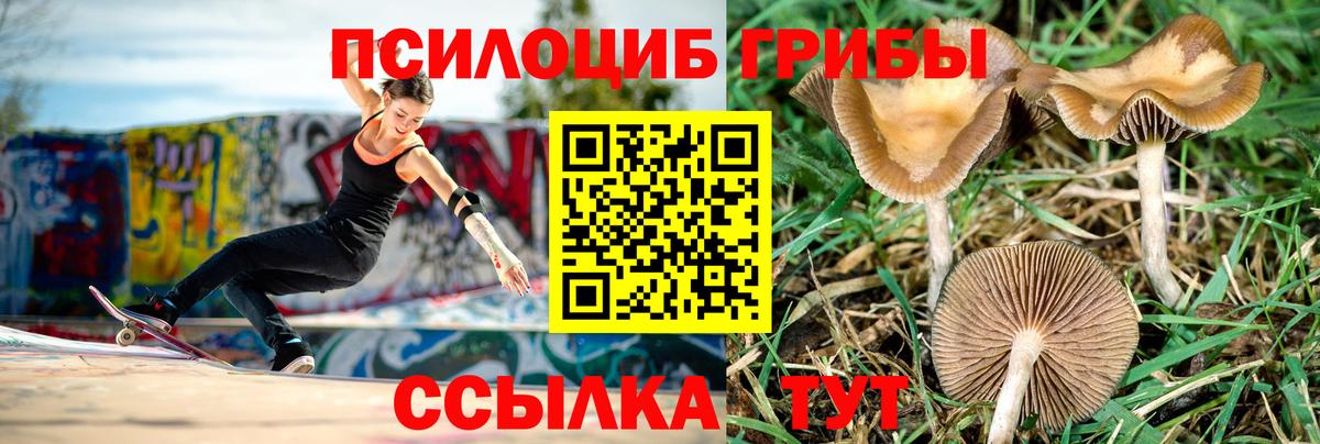 Псилоцибиновые грибы Magic Shrooms Светлоград
